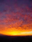Click to see big picture (359x479 pixels; 12 KB))